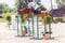 Annuncio cavallo
