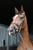 Annonce cheval