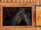 Horse ad