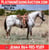 Horse ad
