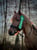 Horse ad