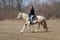 Horse ad