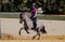 Annuncio cavallo