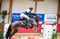 Horse ad