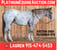 Annuncio cavallo
