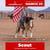 Annuncio cavallo