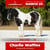 Paardadvertentie