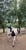 Horse ad