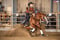 Horse ad