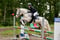 Horse ad