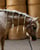 Annuncio cavallo