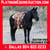 Horse ad
