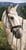 Horse ad