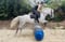 Horse ad