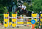 Horse ad
