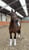 Annuncio cavallo