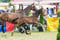 Anuncio de caballos