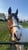 Horse ad