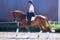 Annuncio cavallo