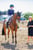 Annuncio cavallo