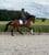 Horse ad