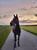Horse ad