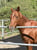 Horse ad