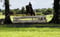Horse ad