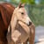 Horse ad