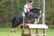 Annuncio cavallo