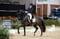Annuncio cavallo