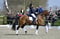 Annuncio cavallo