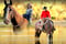 Anuncio de caballos