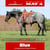 Horse ad