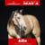 Anuncio de caballos