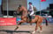 Annuncio cavallo