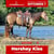 Paardadvertentie