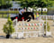 Annuncio cavallo