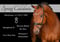 Horse ad