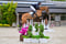 Annuncio cavallo