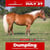 Horse ad