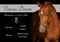 Horse ad