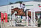 Horse ad