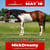 Horse ad