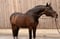 Horse ad