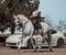 Horse ad