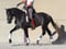 Annuncio cavallo