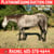Horse ad