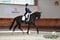 Annuncio cavallo