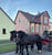 Annuncio cavallo